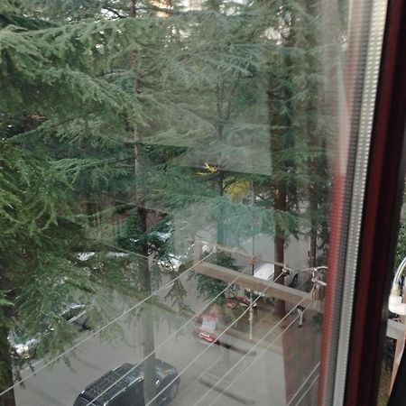 Apartment Ge Zvezda Batumi Esterno foto